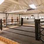 From Community Halls to Elite Arenas: Boxing Venues That Shape Fighters