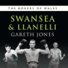 Boxers of Swansea and Llanelli